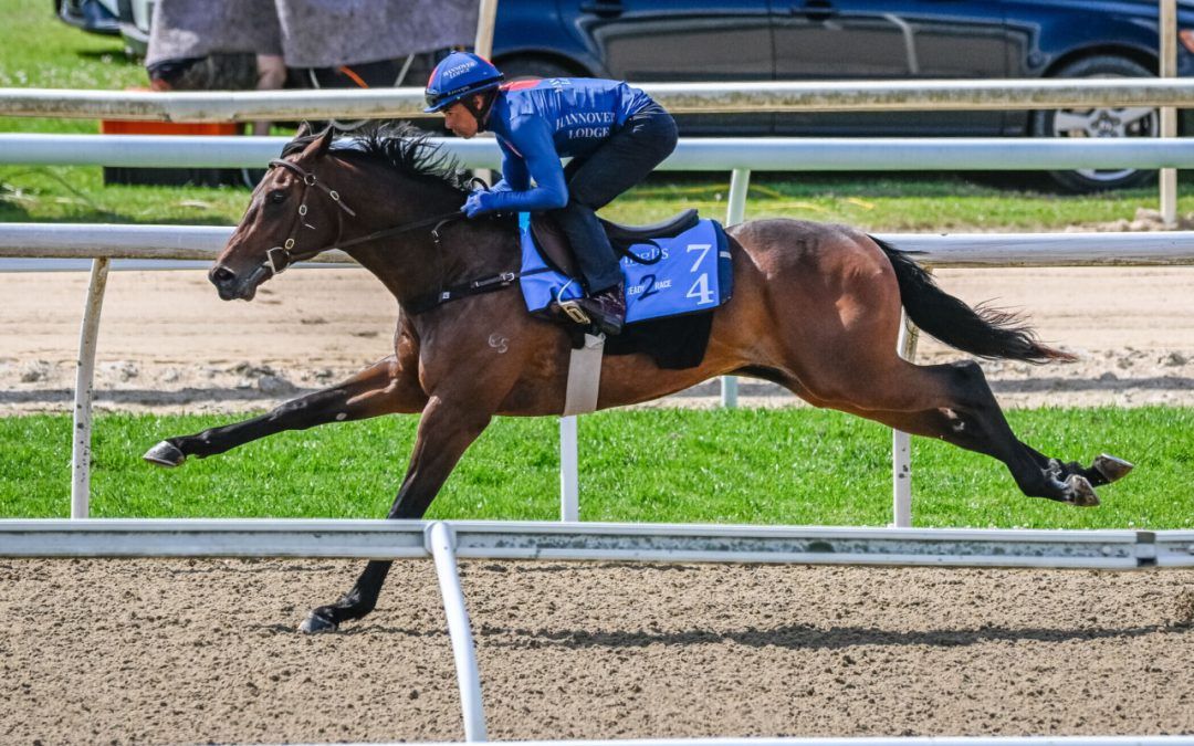 Harry Angel X Miss Severina Colt