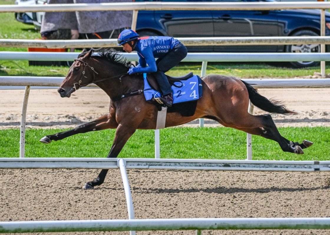 Harry Angel X Miss Severina Colt