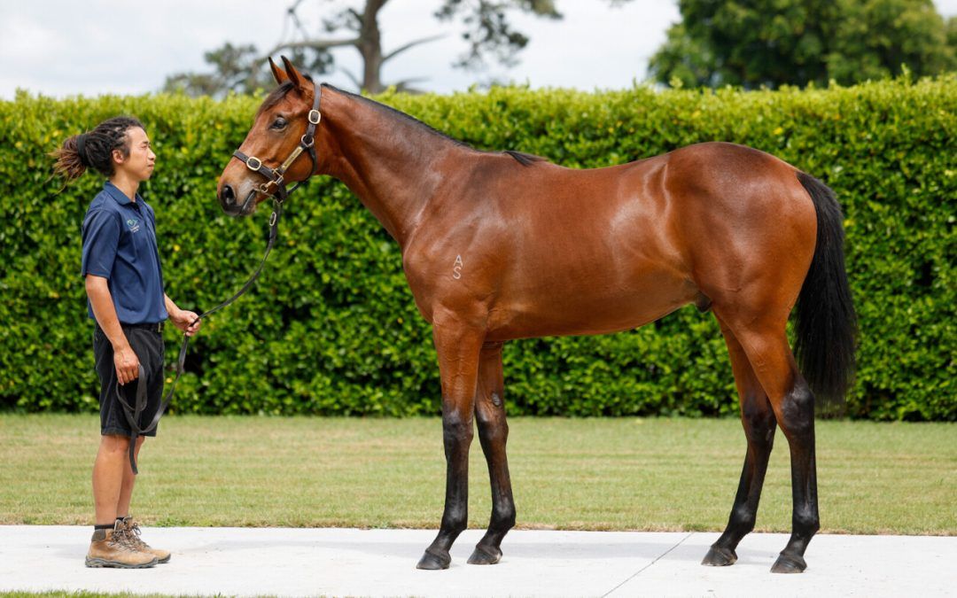 Proisir X Palos De Lago Colt