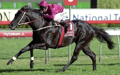 “It’s in everyone’s benefit if we breed a better horse…” Mick Price.