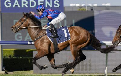 Guest House banishes Slipper curse at Rosehill