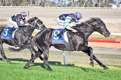 Grassmere Diamond