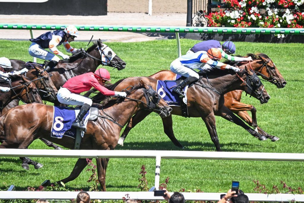 Major Share delivers Saturday metro success for AJ Chambers Racing - AJ ...