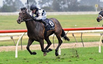 Tuxedo makes statement with powerful 4yo debut.