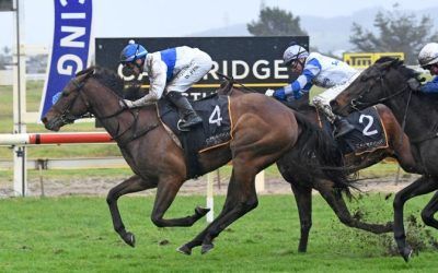 Tajana makes brilliant return in Breeder’s Stakes.