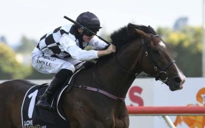 Tuxedo getting dressed up for summer racing