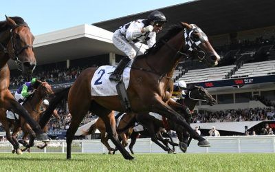 Tuxedo proves best dressed in Aotearoa Classic