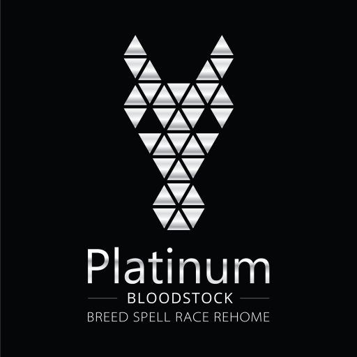 cropped-Platinum-Bloodstock-Logo-4-hand-over-01.jpg