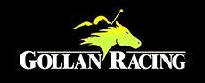 logo (1)