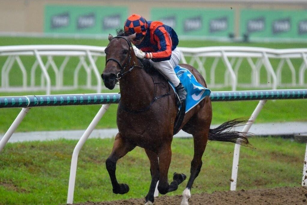 Blinding Speed (Marley)