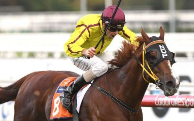 Parnham Favourite Close To Magical Milestone