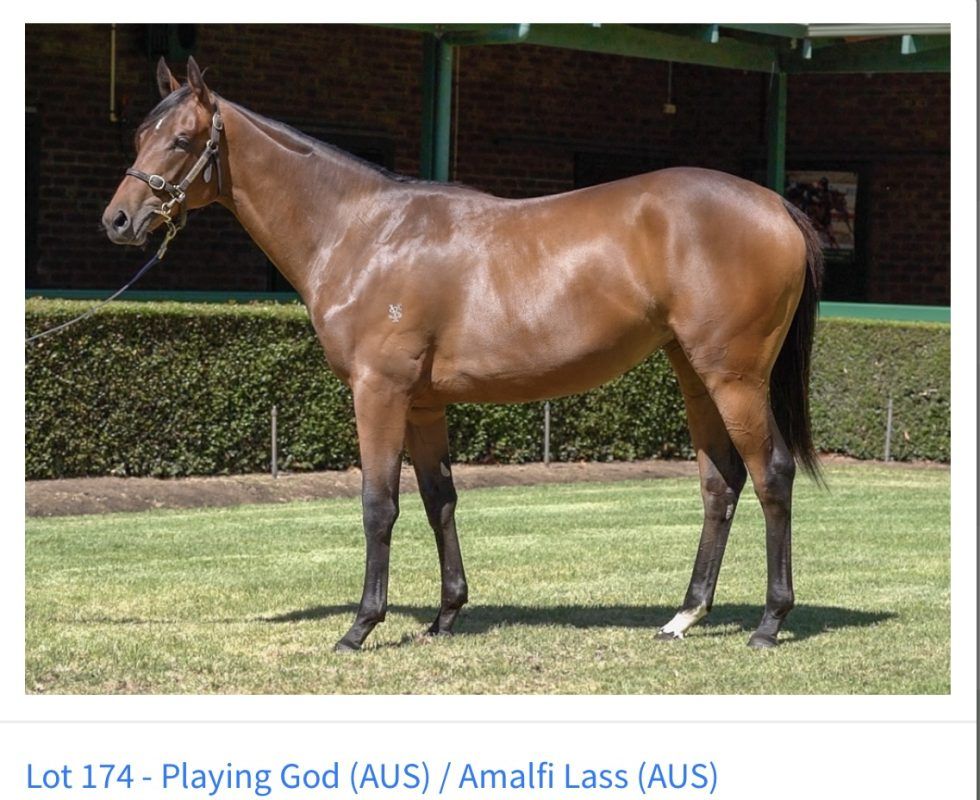 Un-named (Playing God – Amalfi Lass)