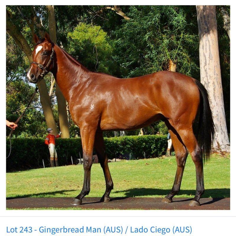 Un-named (Gingerbread Man – Lado Ciego)