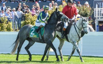 Masterclass from Parnhams as Neufbosc takes Perth Cup