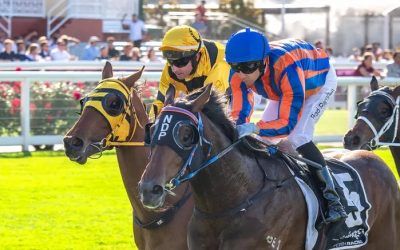 Guineas Favourite Back With Parnham