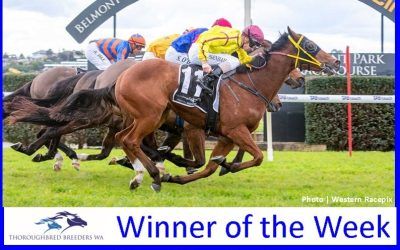 Saam Time Lucky TBWA Winner of the Week