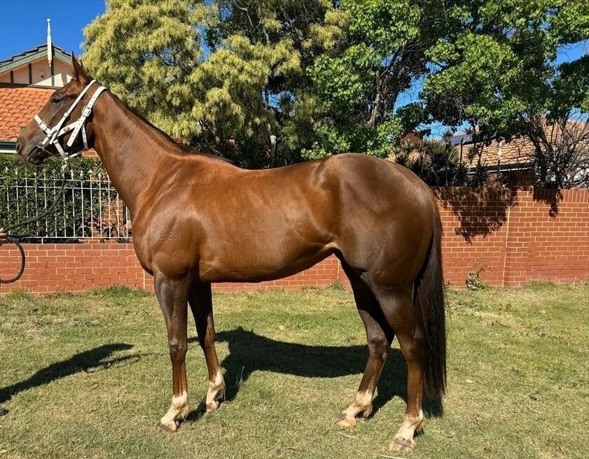 Cleanemup