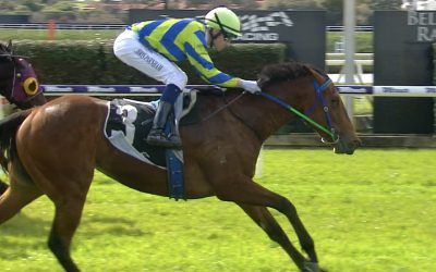 Zourun’s Carnival Quest