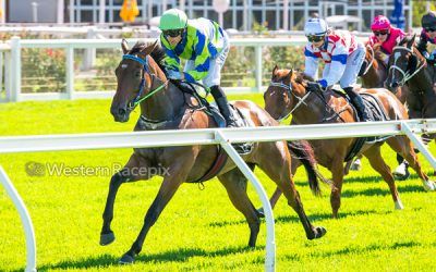 Snitzel Filly Aurum Belle Storms to Karrakatta Favouritism