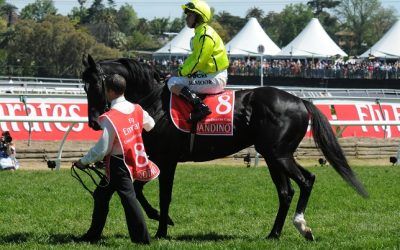 Win of Vital Importance for Parnham Stable