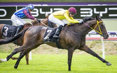 Masmelo scores minor upset in Natasha Stakes, exacting revenge over hotpot Wonderfully Made to stamp Oaks bid