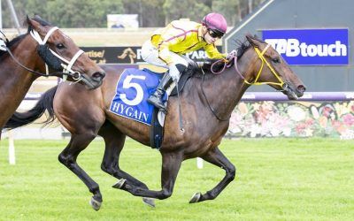 Sky Duke belies doubts over ‘staying’ capacity to salute in $100,000 Boxing Day Dash at Pinjarra