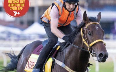 September on comeback trail