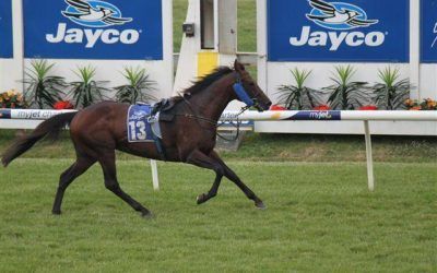 Now We’ve Seen It All