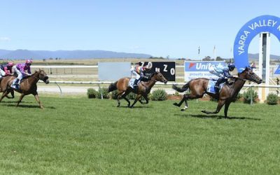 It’s Irish’s Day To Shine In The Sun!