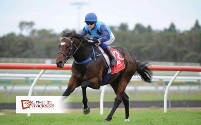 It’s Irish Constabulary!