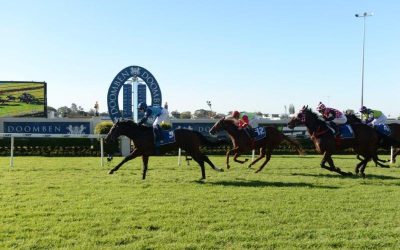 Irish! 3 Wide &Amp; Still Running!