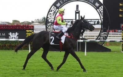 Denoninator Wins In Town!