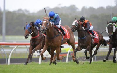 It’s Kulaba Again!