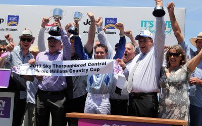 Get On Board!  New Horses Available!