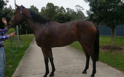 Come By Chance Wins!