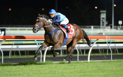 Interview With Steph!