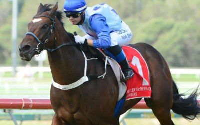 Irish Wins First Up!