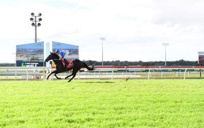 Mewstone Smashes Them!