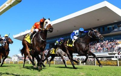 Checkmate Wins Again!