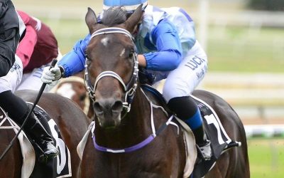 City Stats Are Pretty Flash!