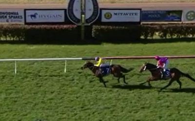 Two In A Row For Sheezinajam!