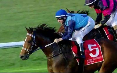 It’s Another Irish!