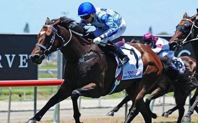 Our Legend Irish Retires!