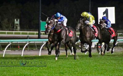 That’s Three For Wt!