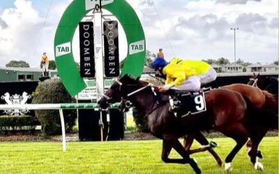 Daintree Drops On Them!