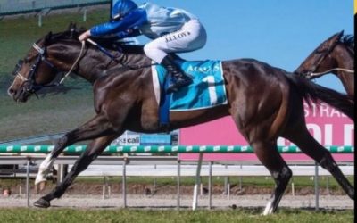 The Dealing’s Done!