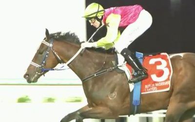 Good Night For Knight’s!