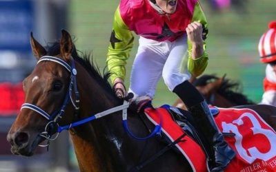 Winx Win For Knight’s!