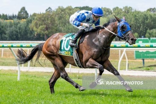 So You Think - Bellapin