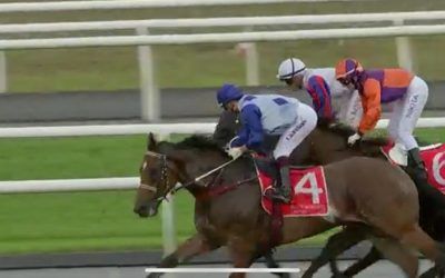 One For The Rooster!